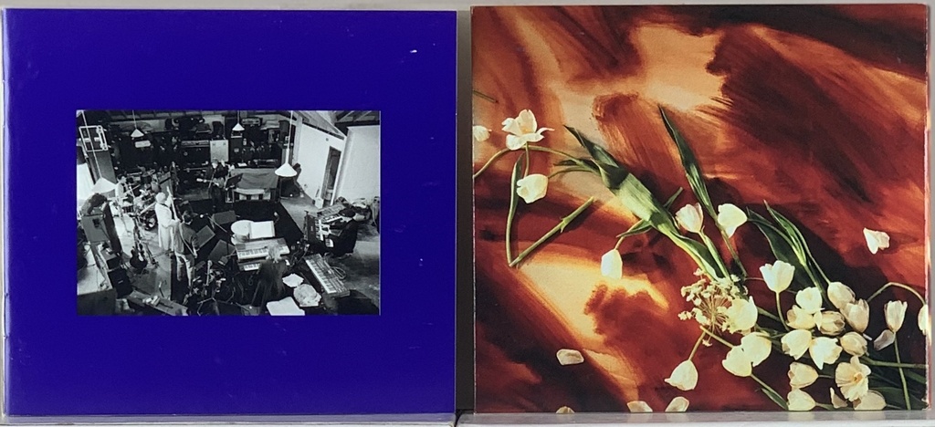 Paul McCartney - Flowers In The Dirt (2CDs usado) | Tracks Rio